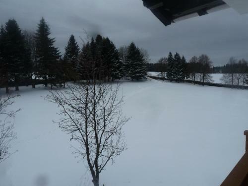 Apartamento Appartement-oberwiesenhof