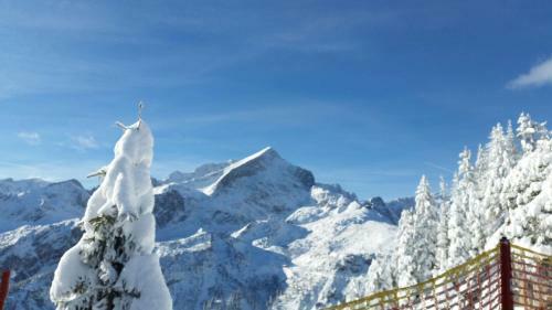Apartamentos Alpin Ferienwohnungen Garmisch - Partenkirchen