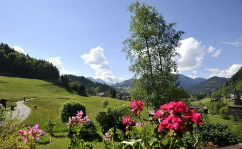 Apartamento Gschwenderhaus Ferienwohnungen