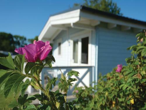 Holiday Home S�ssau/ostsee *x *