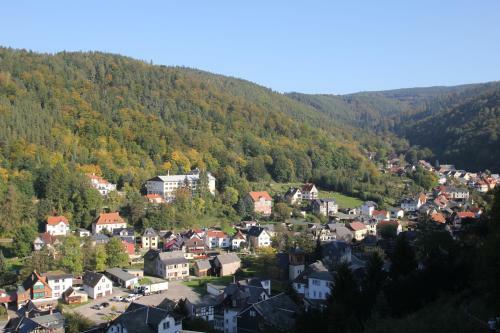 Hotel & Restaurant Schwarzaburg