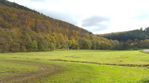 Apartment Am Sternberg 236