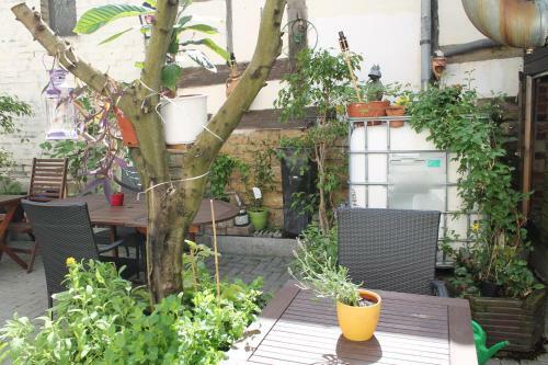 Hostal Hotel Goldener Stern
