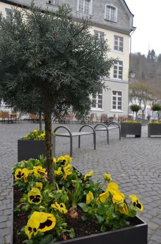Bed & Breakfast Guesthouse Schlo�-cafe