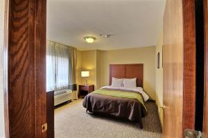 Hotel Comfort Inn Pharr
