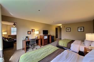 Hotel Comfort Inn Pharr