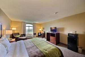 Hotel Comfort Inn Pharr
