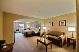 Hotel Comfort Inn Pharr