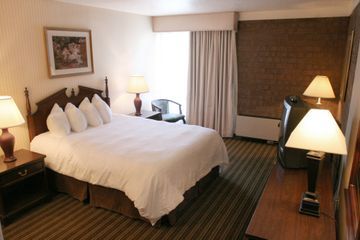 Hotel Best Western Cotton Tree Inn