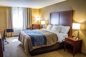 Hotel Comfort Inn