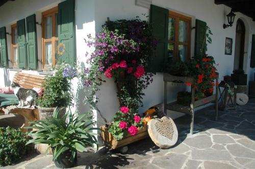 Hostal Guest House Sonnenhof