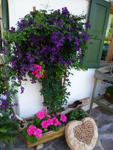 Hostal Guest House Sonnenhof