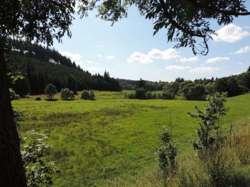 Waldhotel Auszeit