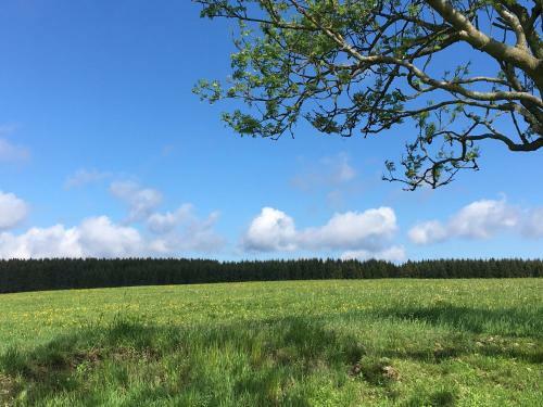 Waldhotel Auszeit