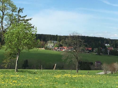 Waldhotel Auszeit