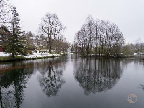 Apartamento Ferienwohnung Seeblick