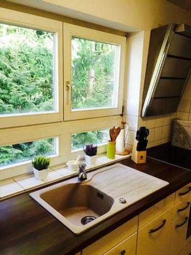 Apartamento M�wennest