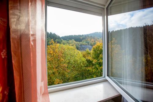 Posada Berghotel-willingen
