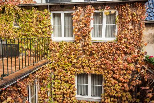 Hostal Hotel Garni G�nther
