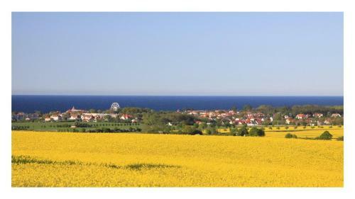 Strandhotel "nordischer Hof"