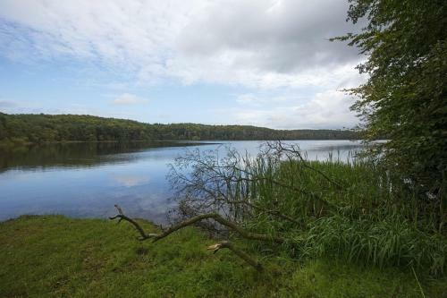 Apartamento Haus Am Wolgastsee - 09
