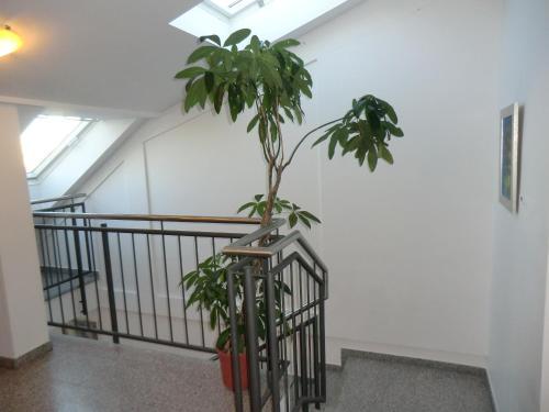 Hotel Andra M�nchen