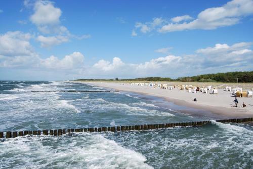 Ferienhaus Wustrow Am Ostseestrand