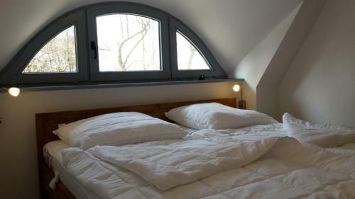Ferienhaus Wustrow Am Ostseestrand
