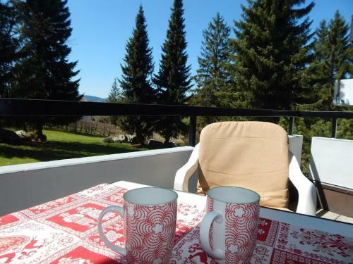 Apartamento Domicil Schluchsee