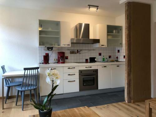 Stella Apartments Am Erfurter Dom