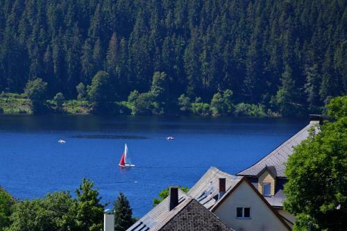 Parkhotel Flora Am Schluchsee