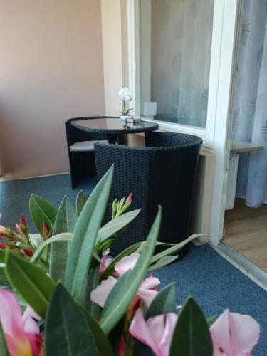 N�rnberg Apartment 3