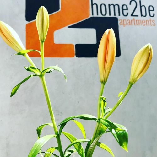 Home2be Apartments