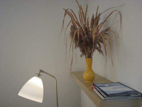 Apartamento D�nenhaus Sellin