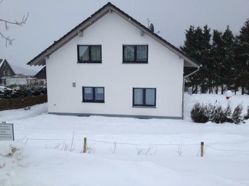 Chic Holiday Home In Medebach Germany Near Ski Area