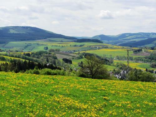 Chic Holiday Home In Medebach Germany Near Ski Area