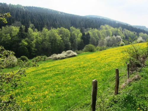 Chic Holiday Home In Medebach Germany Near Ski Area