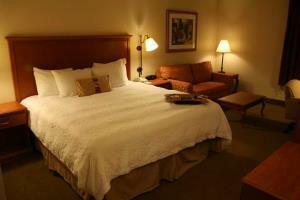 Hotel Hampton Inn Laredo