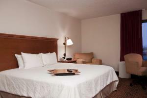 Hotel Hampton Inn Laredo