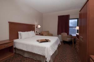 Hotel Hampton Inn Laredo