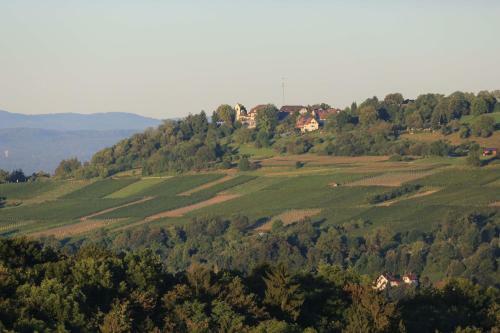 Apartment-s Sonnenrain