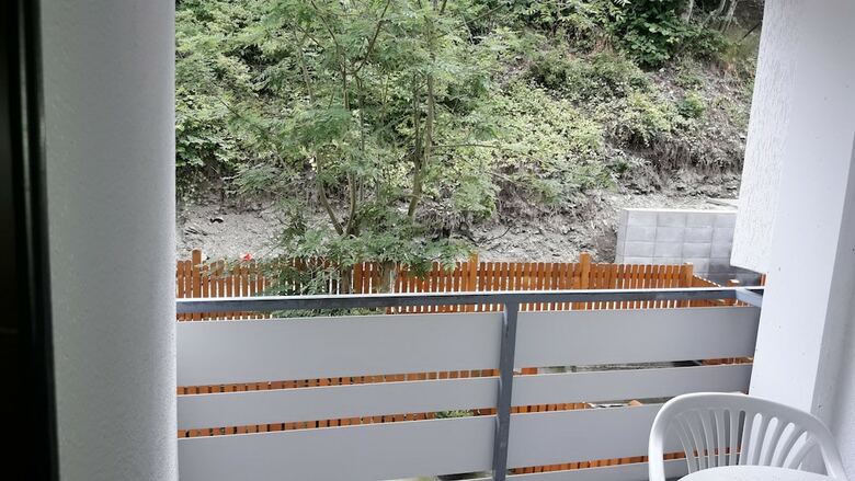 Apartamento Ferienwohnung Ortsmitte-willingen