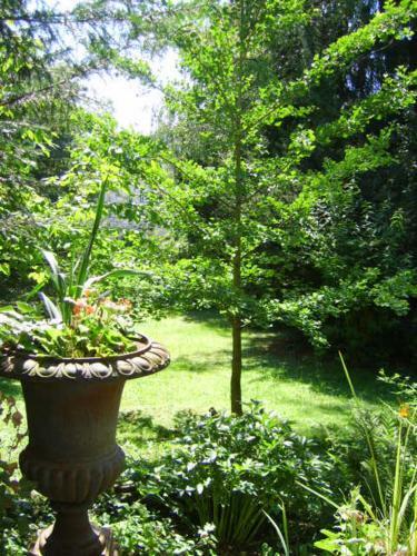 Garden Apartment