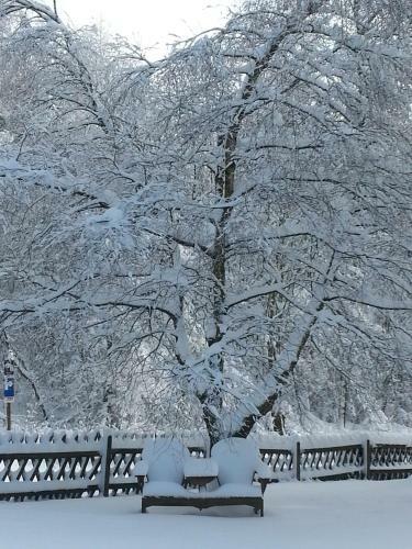 Hotel Winterberg Resort