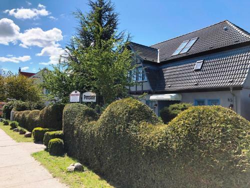 Hostal Pension Zum Brauhaus