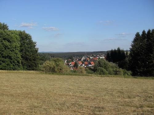 Apartamento Ferienwohnung Waldblick