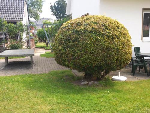 Apartamento Ferienwohnung Zingst - Am Museumshof