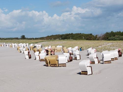 Apartamento Ferienwohnung Zingst - Am Museumshof