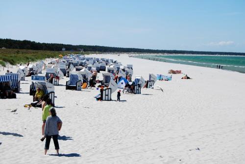 Apartamento Ferienwohnung Zingst - Am Museumshof