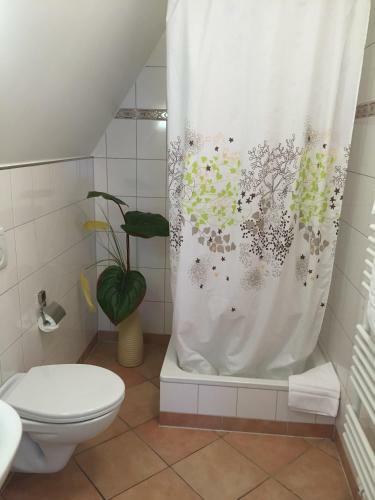 Hotel Barcelona Bed & Breakfast